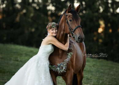 Braut Pferd